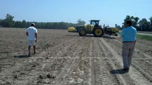 ag crop gallery - cotton test plot - Carolina Precision