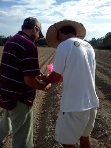 ag crop gallery - test plots - Carolina Precision