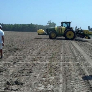 ag crop gallery - cotton test plot - Carolina Precision